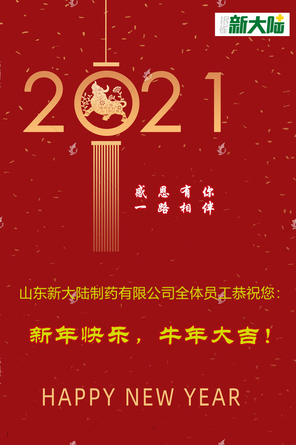 山東新大陸制藥有限公司恭祝您新年快樂！