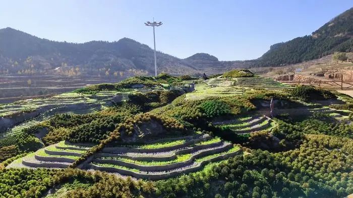 非凡十年，平邑縣九間棚續(xù)寫沂蒙精神新篇章
